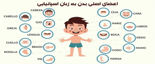 برگزاری آنلاین کلاس زبان اسپانیایی در بهترین آموزشگاه اصفهان